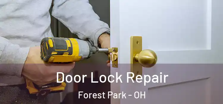 Door Lock Repair Forest Park - OH
