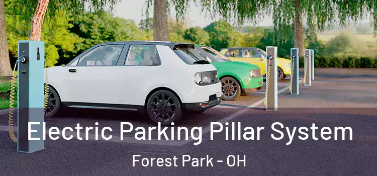 Electric Parking Pillar System Forest Park - OH