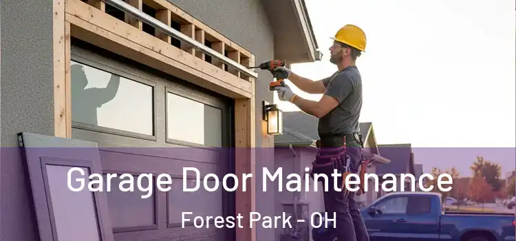 Garage Door Maintenance Forest Park - OH