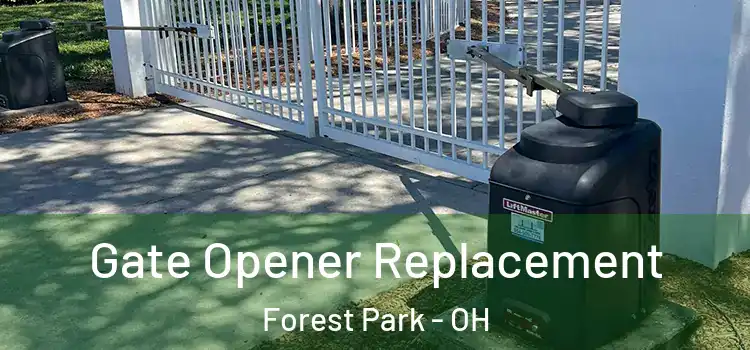 Gate Opener Replacement Forest Park - OH