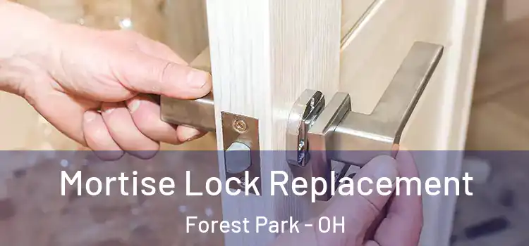 Mortise Lock Replacement Forest Park - OH