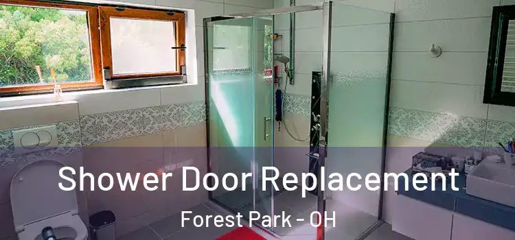 Shower Door Replacement Forest Park - OH